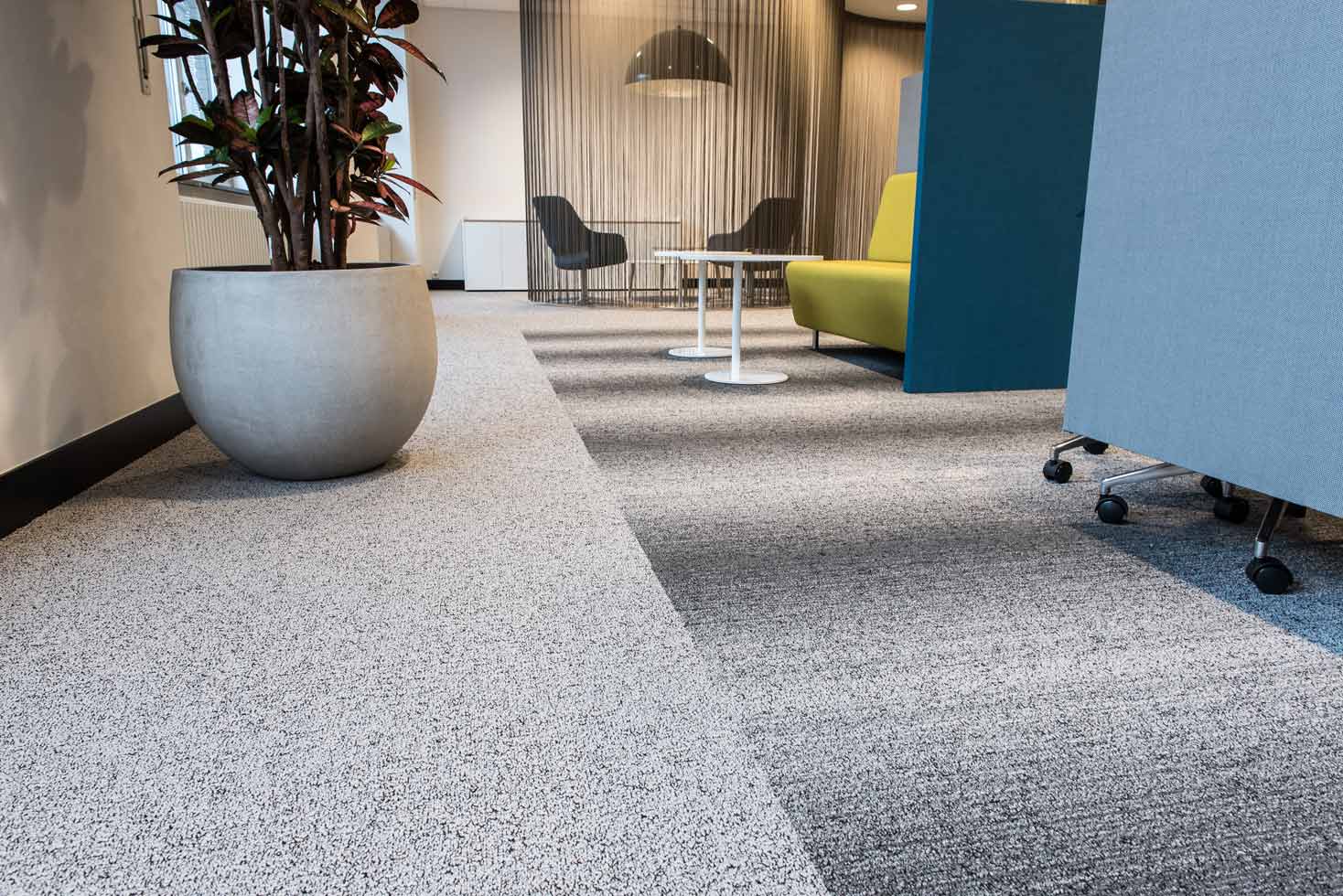 moquette entreprise